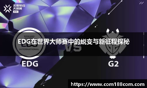 星空·综合体育官方网站