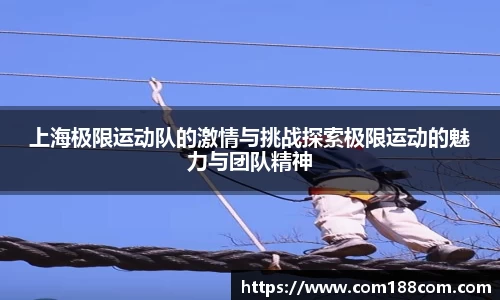 星空·综合体育官方网站