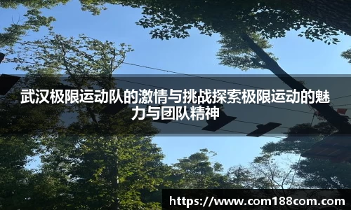 星空·综合体育官方网站