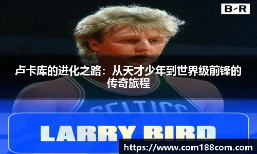 星空·综合体育官方网站